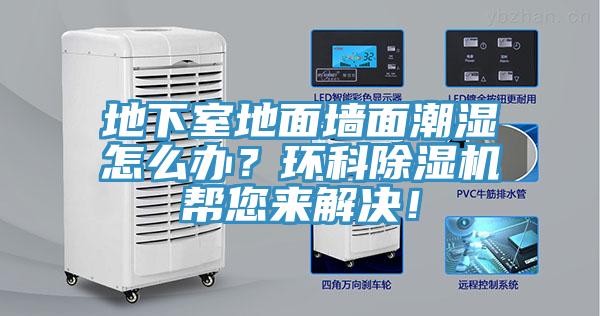 地下室地面墙面潮湿怎么办？环科91香蕉视频下载网站帮您来解决！