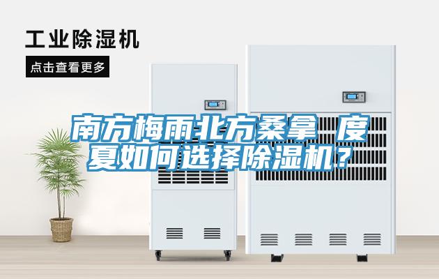 南方梅雨北方桑拿 度夏如何选择91香蕉视频下载网站？