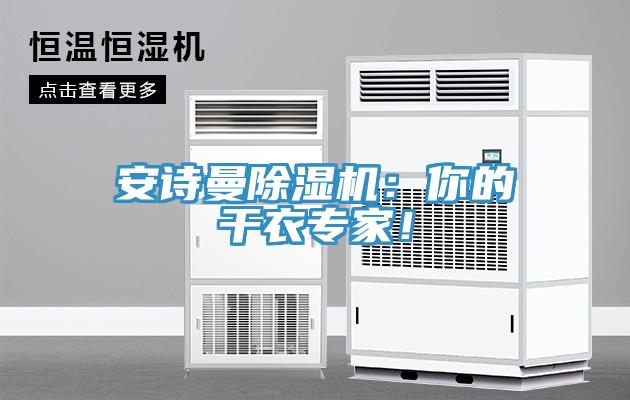 91香蕉视频污污版91香蕉视频下载网站：你的干衣专家！