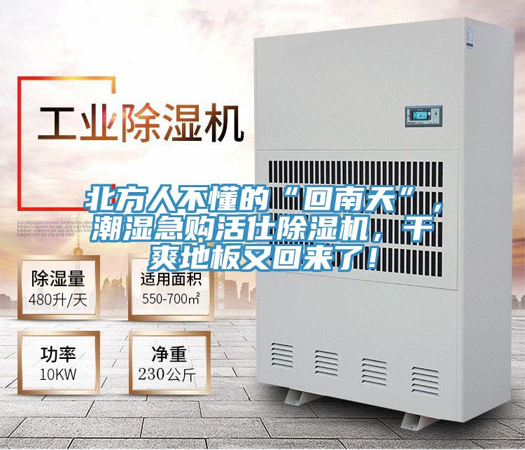 北方人不懂的“回南天”，潮湿急购活仕91香蕉视频下载网站，干爽地板又回来了！