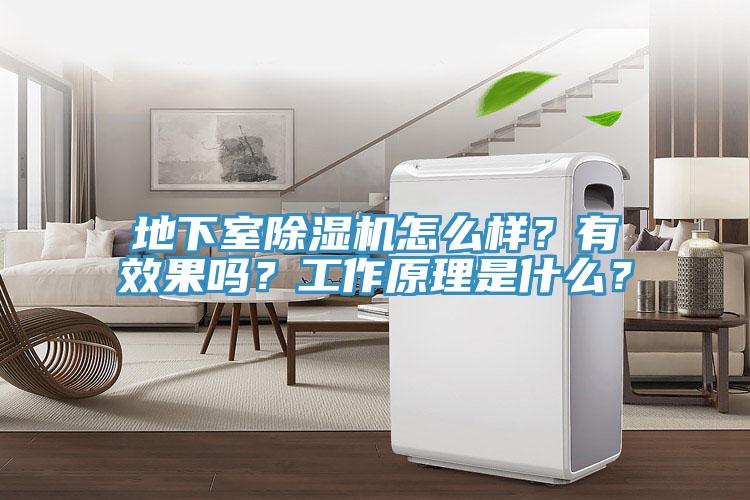 地下室91香蕉视频下载网站怎么样？有效果吗？工作原理是什么？