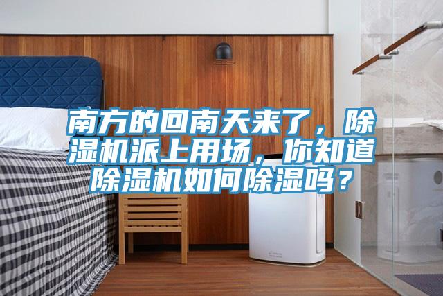 南方的回南天来了，91香蕉视频下载网站派上用场，你知道91香蕉视频下载网站如何除湿吗？