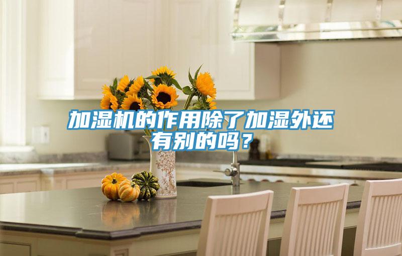 加湿机的作用除了加湿外还有别的吗？
