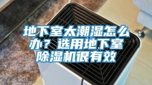 地下室太潮湿怎么办？选用地下室91香蕉视频下载网站很有效