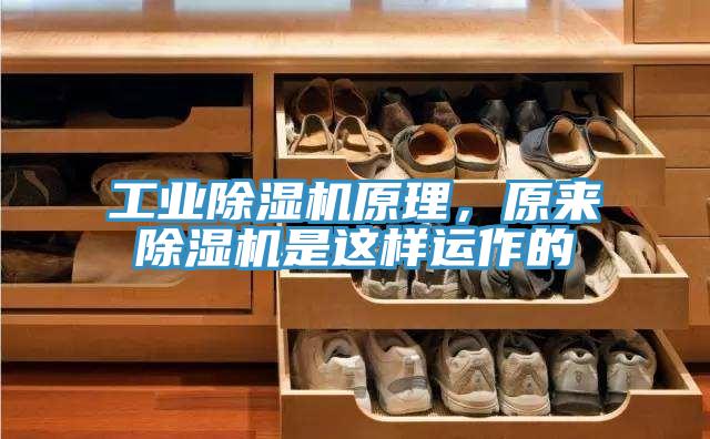 工业91香蕉视频下载网站原理，原来91香蕉视频下载网站是这样运作的