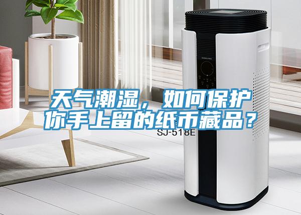天气潮湿，如何保护你手上留的纸币藏品？