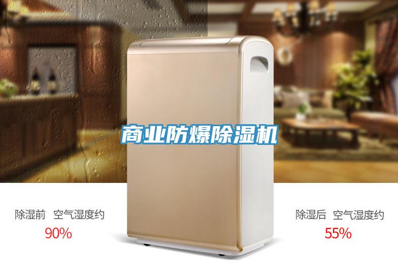 商业防爆91香蕉视频下载网站