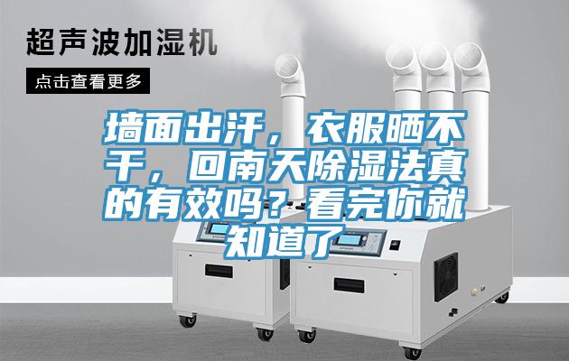 墙面出汗，衣服晒不干，回南天除湿法真的有效吗？看完你就知道了