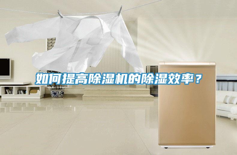 如何提高91香蕉视频下载网站的除湿效率？