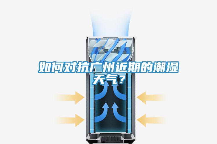 如何对抗广州近期的潮湿天气？