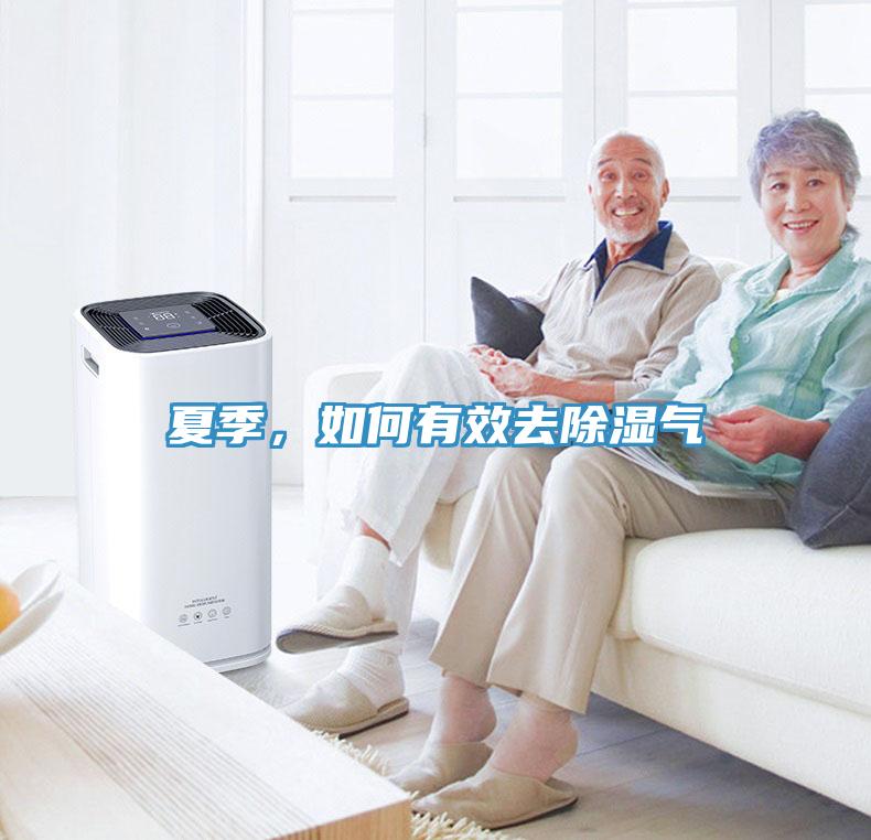 夏季，如何有效去除湿气