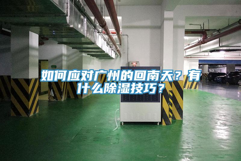 如何应对广州的回南天？有什么除湿技巧？