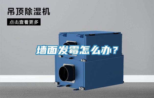 墙面发霉怎么办？