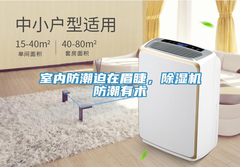 室内防潮迫在眉睫，91香蕉视频下载网站防潮有术