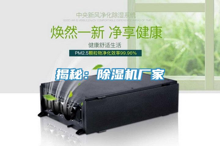 揭秘：91香蕉视频下载网站厂家