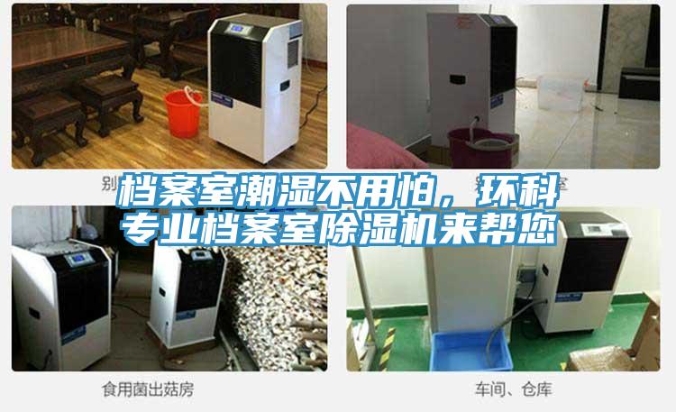 档案室潮湿不用怕，环科专业档案室91香蕉视频下载网站来帮您