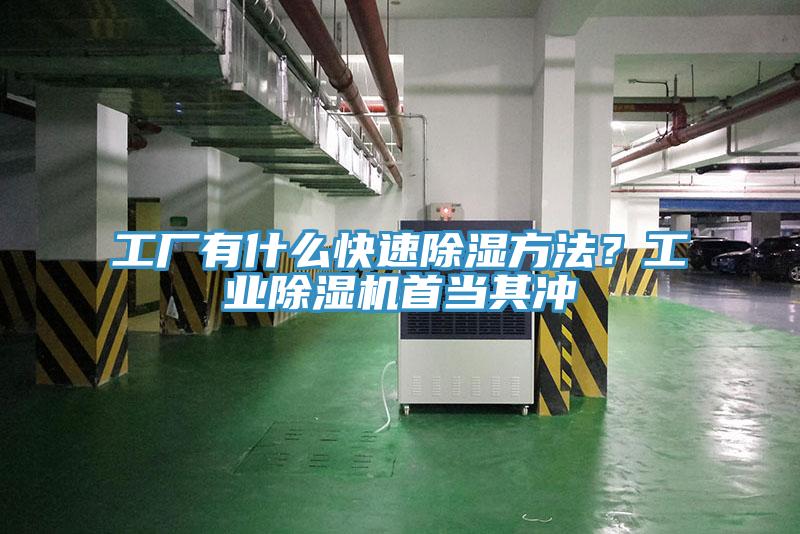 工厂有什么快速除湿方法？工业91香蕉视频下载网站首当其冲