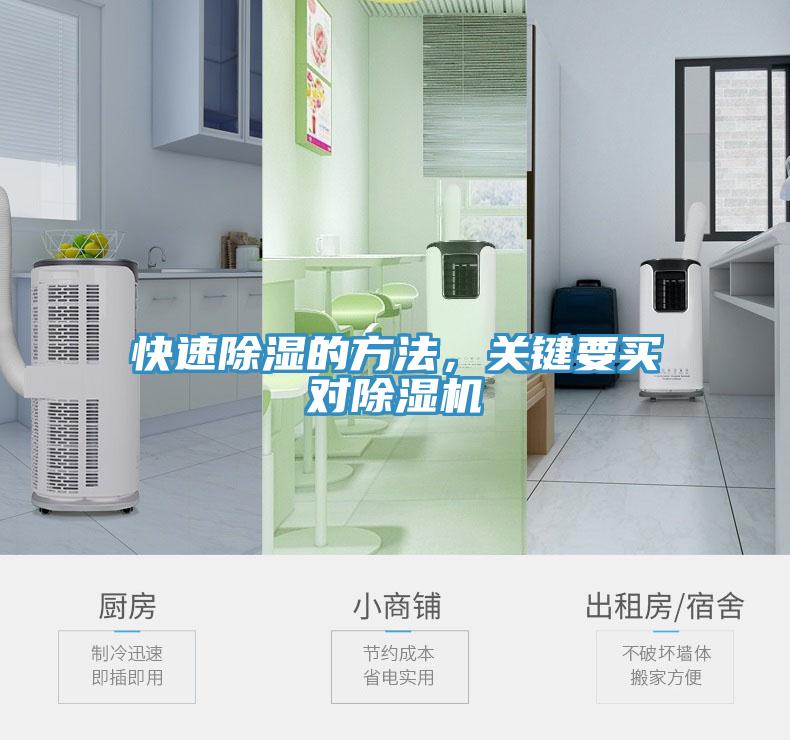 快速除湿的方法，关键要买对91香蕉视频下载网站