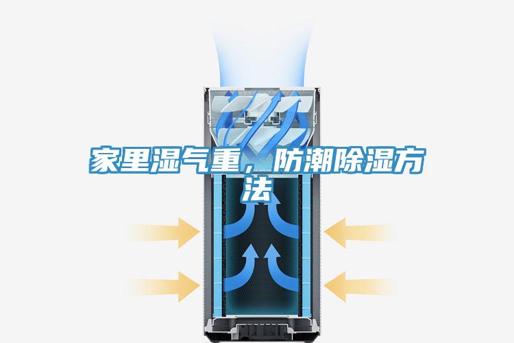 家里湿气重，防潮除湿方法