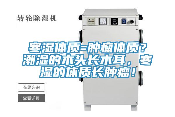 寒湿体质=肿瘤体质？潮湿的木头长木耳，寒湿的体质长肿瘤！