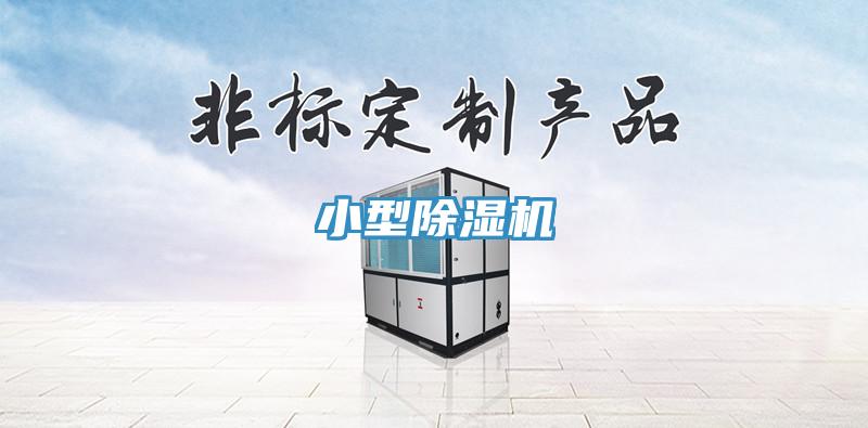 小型91香蕉视频下载网站