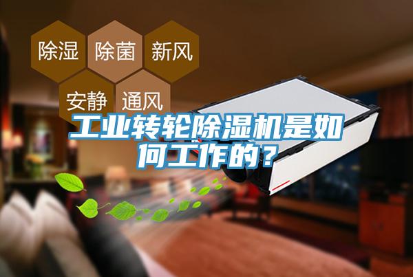 工业转轮91香蕉视频下载网站是如何工作的？