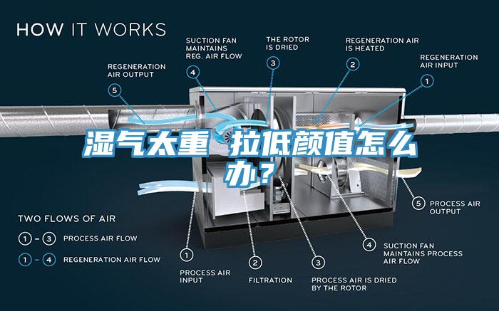 湿气太重 拉低颜值怎么办？