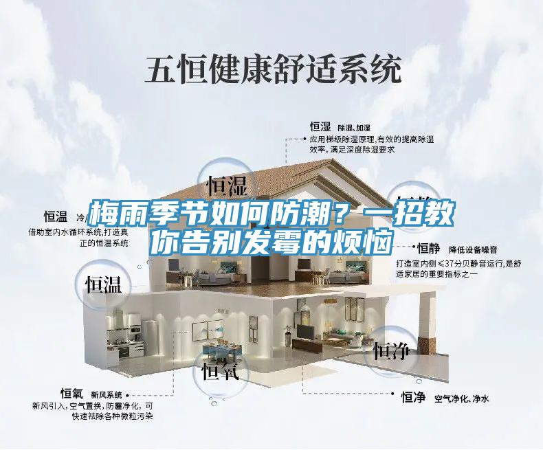 梅雨季节如何防潮？一招教你告别发霉的烦恼