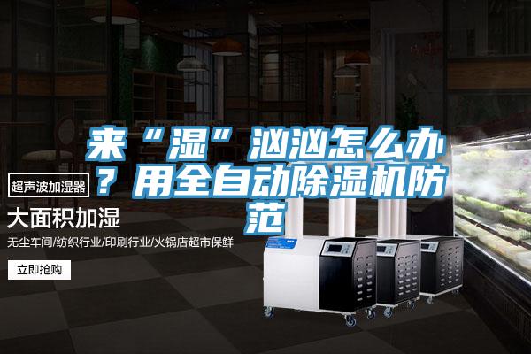 来“湿”汹汹怎么办？用全自动91香蕉视频下载网站防范