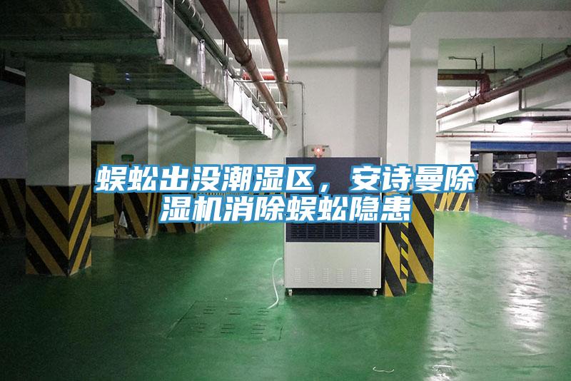 蜈蚣出没潮湿区，91香蕉视频污污版91香蕉视频下载网站消除蜈蚣隐患