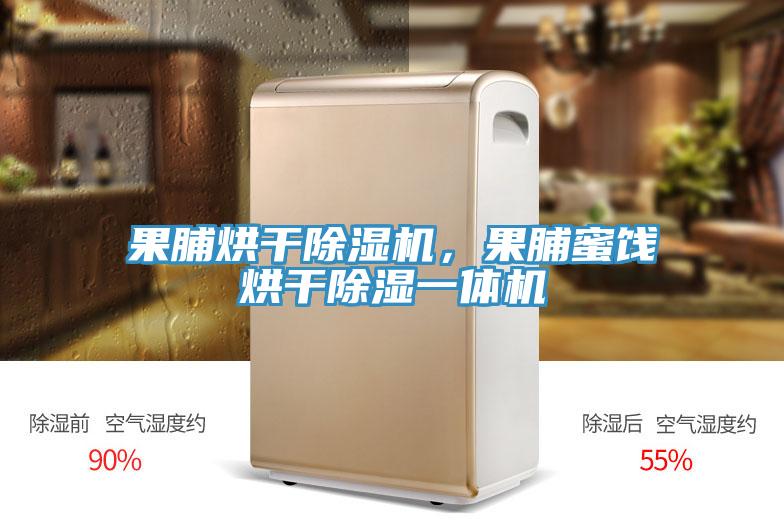 果脯烘干91香蕉视频下载网站，果脯蜜饯烘干除湿一体机