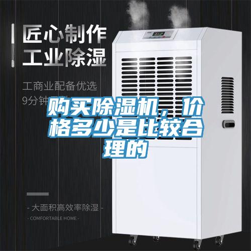 购买91香蕉视频下载网站，价格多少是比较合理的