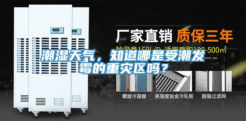 潮湿天气，知道哪是受潮发霉的重灾区吗？
