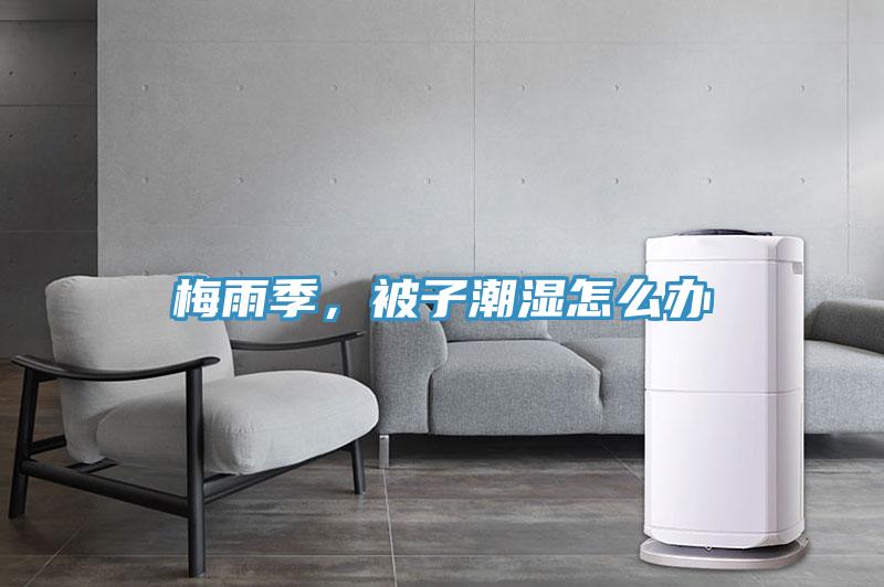 梅雨季，被子潮湿怎么办