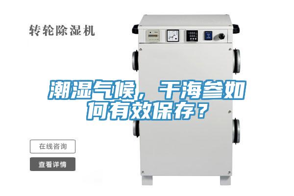 潮湿气候，干海参如何有效保存？
