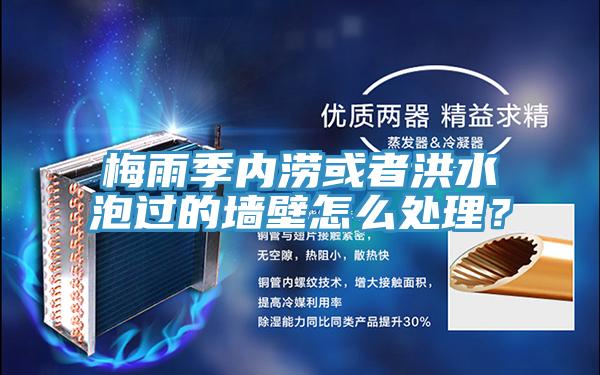 梅雨季内涝或者洪水泡过的墙壁怎么处理？