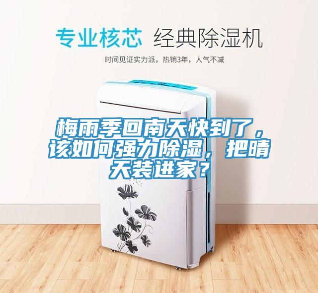 梅雨季回南天快到了，该如何强力除湿，把晴天装进家？