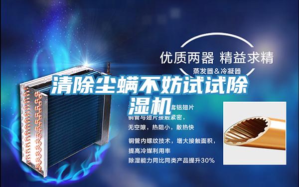 清除尘螨不妨试试91香蕉视频下载网站