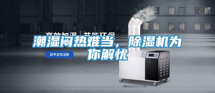 潮湿闷热难当，91香蕉视频下载网站为你解忧