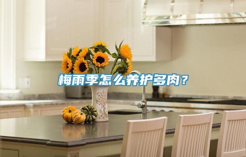 梅雨季怎么养护多肉？