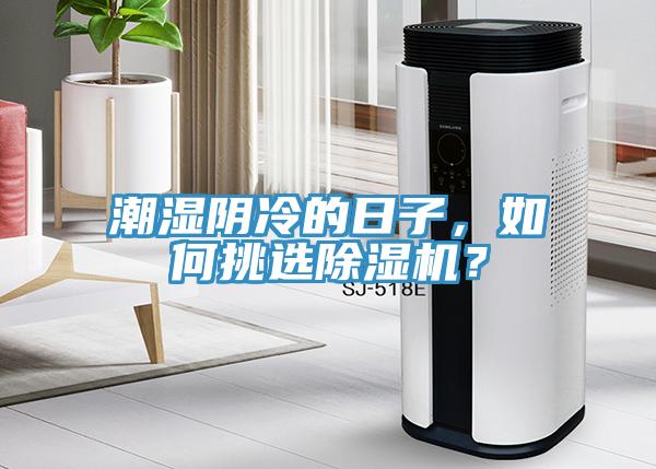 潮湿阴冷的日子，如何挑选91香蕉视频下载网站？