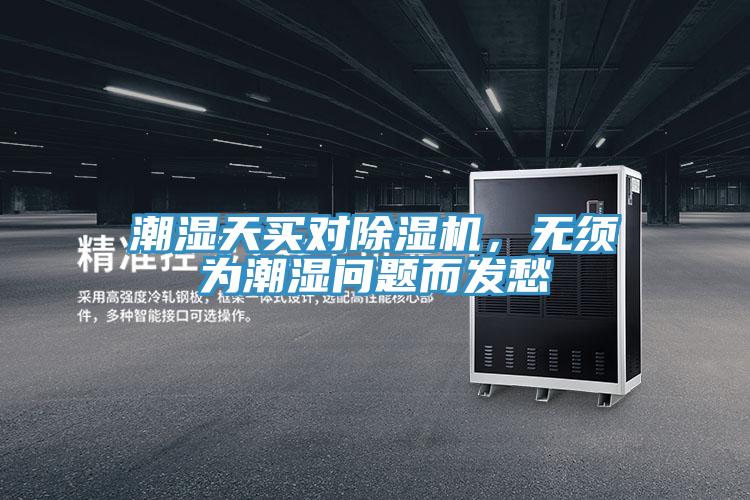 潮湿天买对91香蕉视频下载网站，无须为潮湿问题而发愁