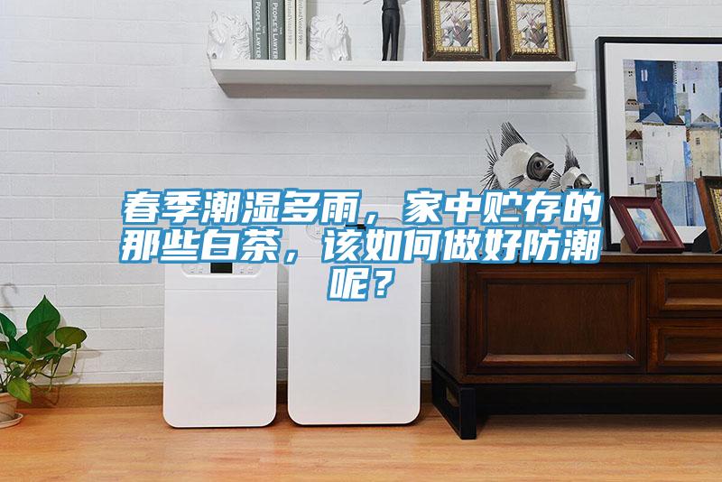 春季潮湿多雨，家中贮存的那些白茶，该如何做好防潮呢？