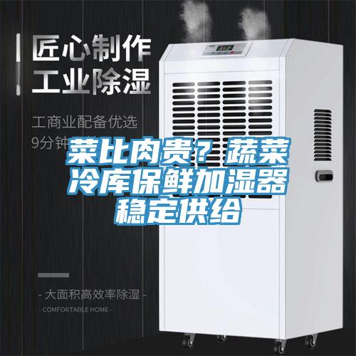 菜比肉贵？蔬菜冷库保鲜加湿器稳定供给