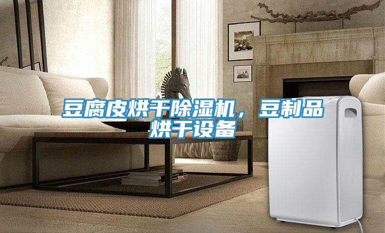 豆腐皮烘干91香蕉视频下载网站，豆制品烘干设备