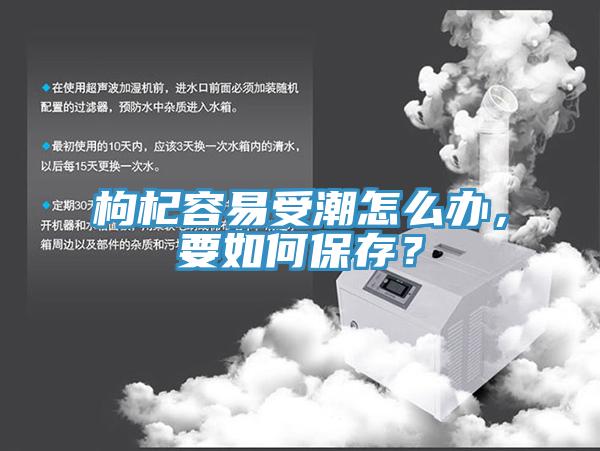 枸杞容易受潮怎么办，要如何保存？