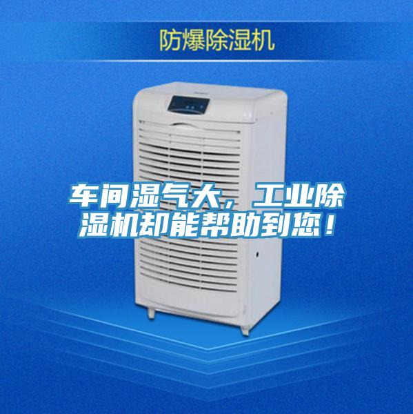 车间湿气大，工业91香蕉视频下载网站却能帮助到您！