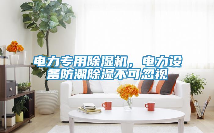 电力专用91香蕉视频下载网站，电力设备防潮除湿不可忽视