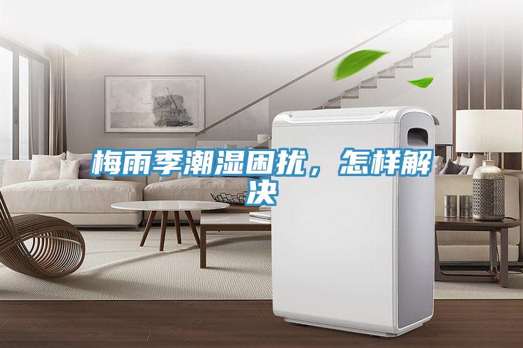 梅雨季潮湿困扰，怎样解决
