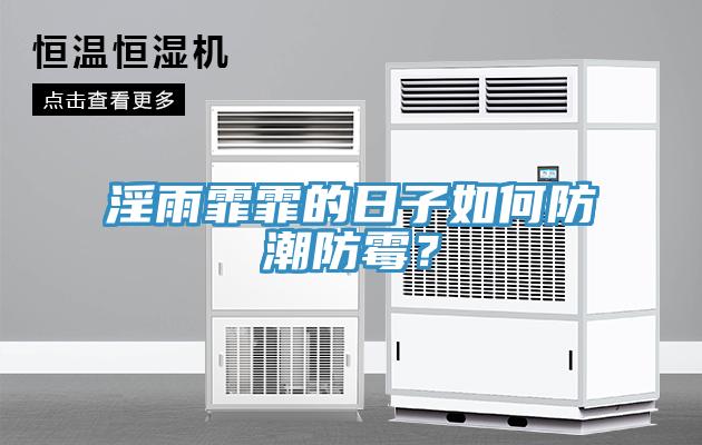 淫雨霏霏的日子如何防潮防霉？
